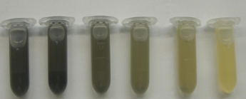 tl_files/arbeitsgemeinschaften/synbiologie/SynBiologie (int)/cambridge-colours.png